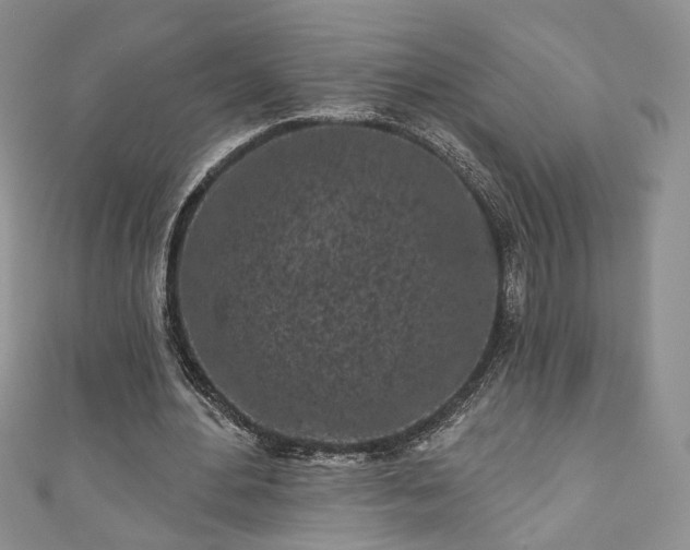 X0000111000484200906261502