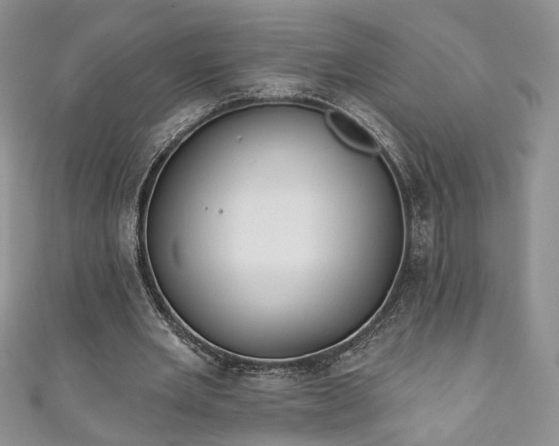 X0000111000485200906261502