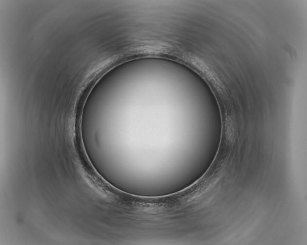 X0000111000486200906261502