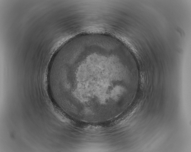 X0000111000487200906261502