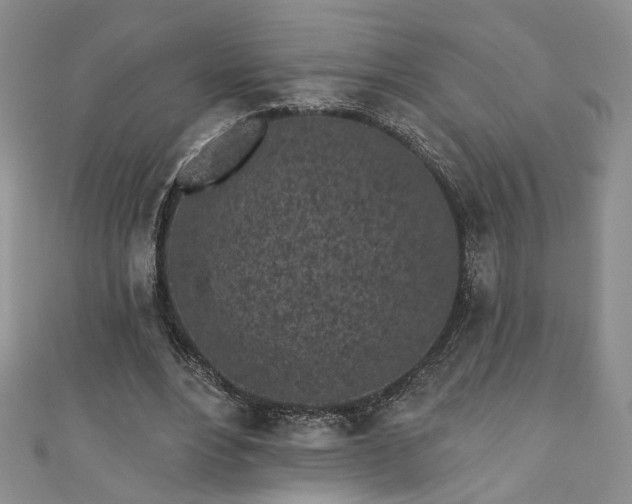 X0000111000488200906261502