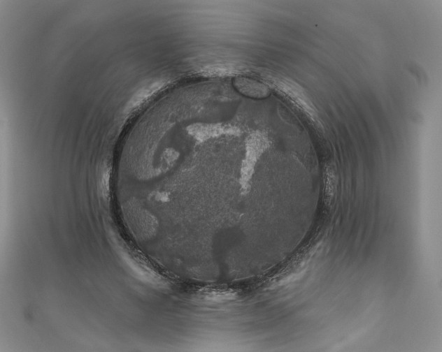 X0000111000491200906261502