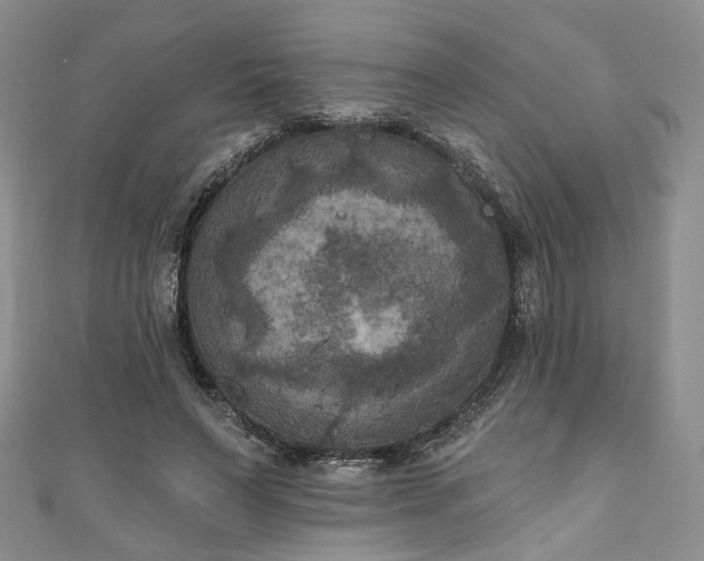 X0000111000495200906261502