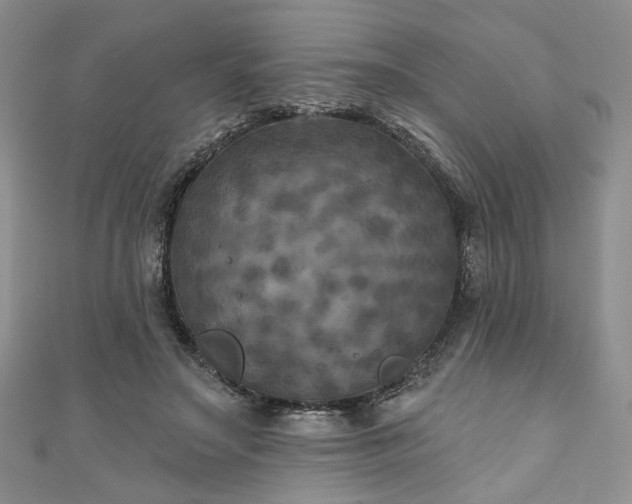 X0000111000499200906261502