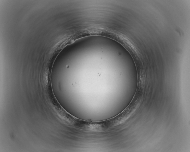 X0000111000501200906261502