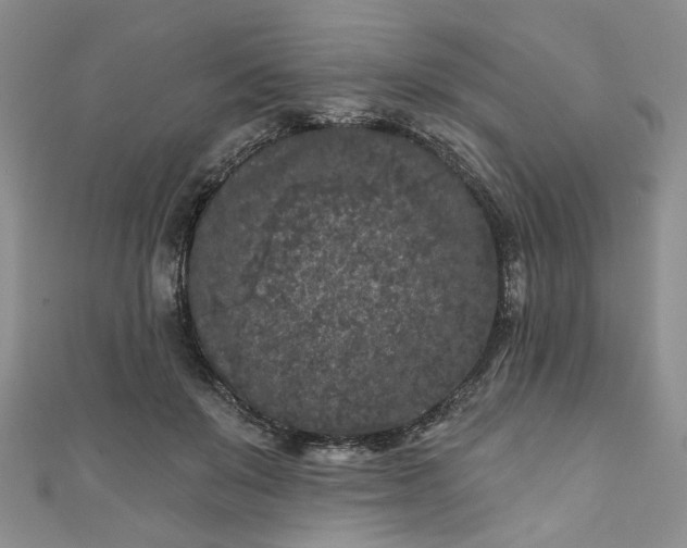 X0000111000503200906261502