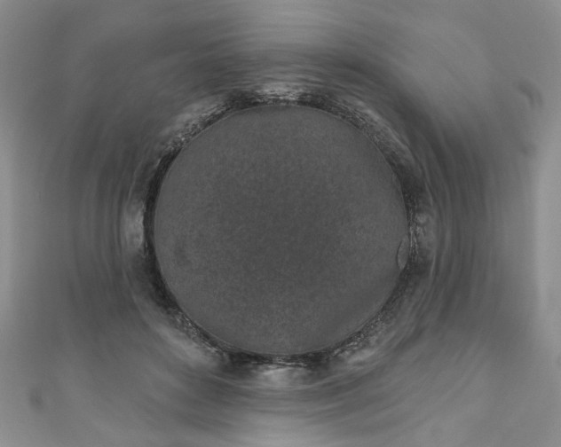 X0000111000504200906261502