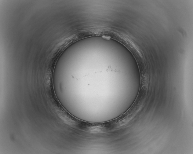 X0000111000505200906261502