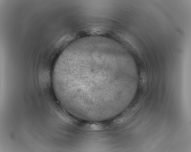 X0000111000506200906261502