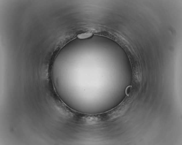 X0000111000512200906261501