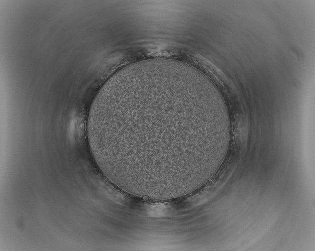 X0000111000513200906261501