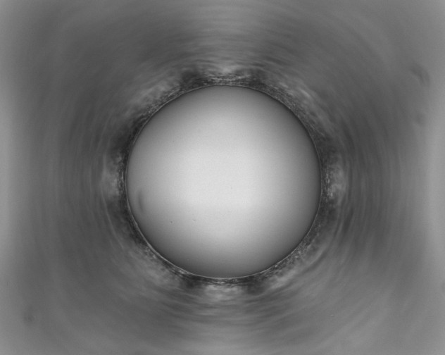 X0000111000515200906261501