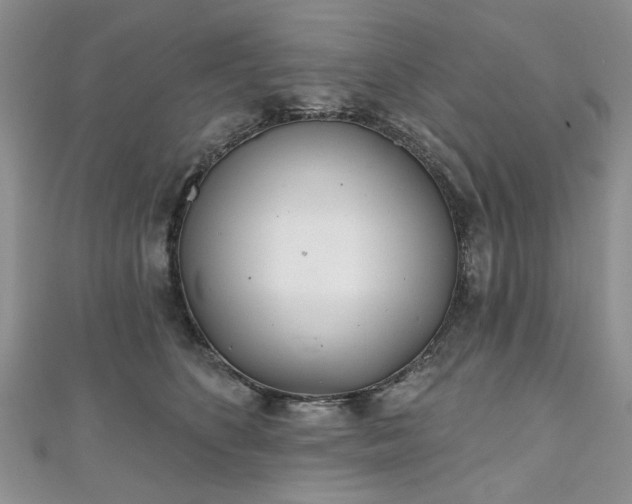 X0000111000516200906261501