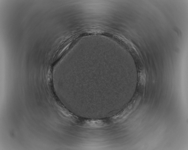 X0000111000517200906261501