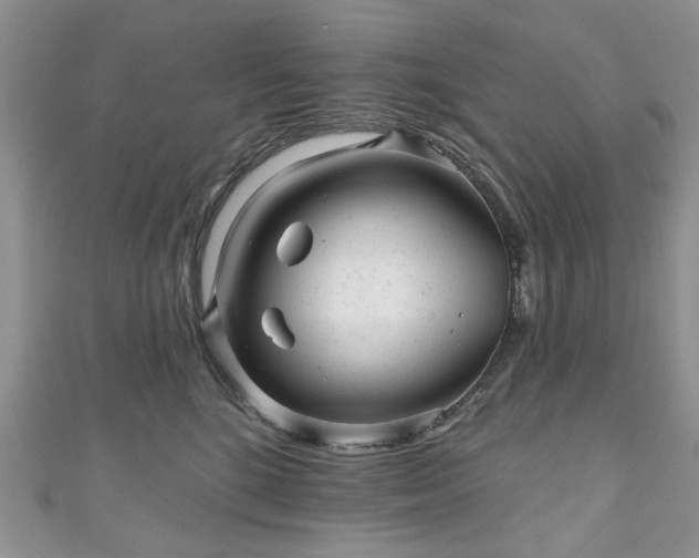 X0000111000520200906261501