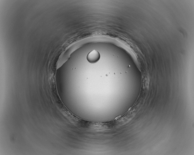 X0000111000521200906261501