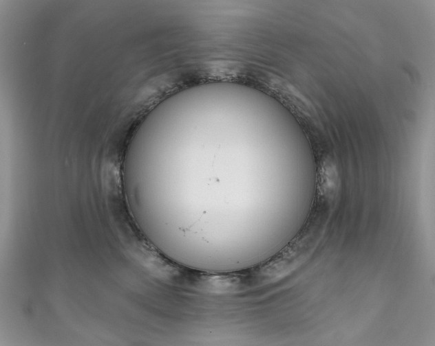 X0000111000522200906261501