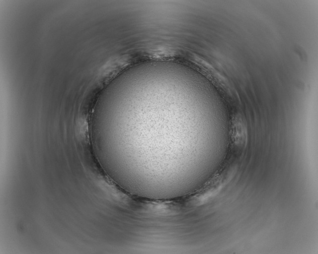 X0000111000523200906261501