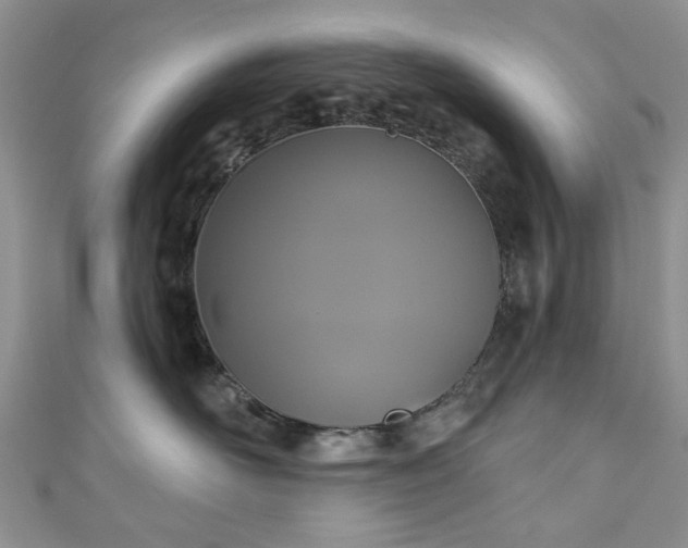 X0000111000526200906261501