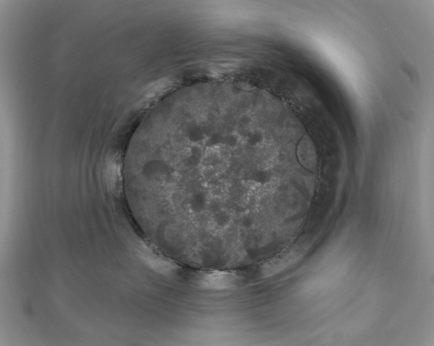 X0000111000527200906261501