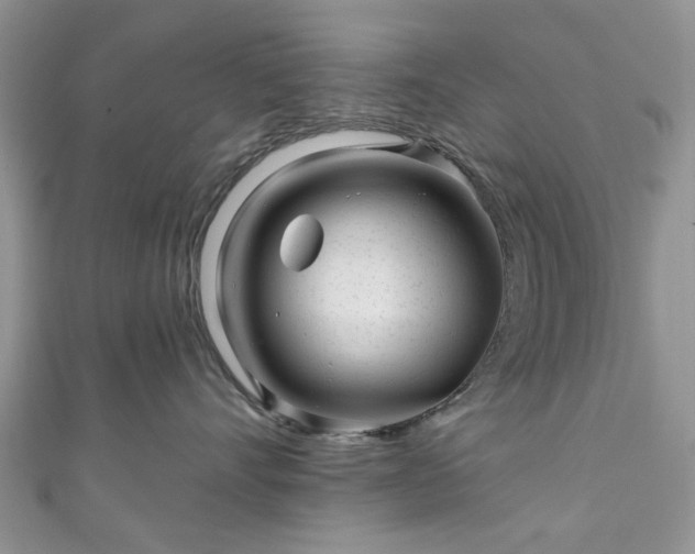 X0000111000528200906261501