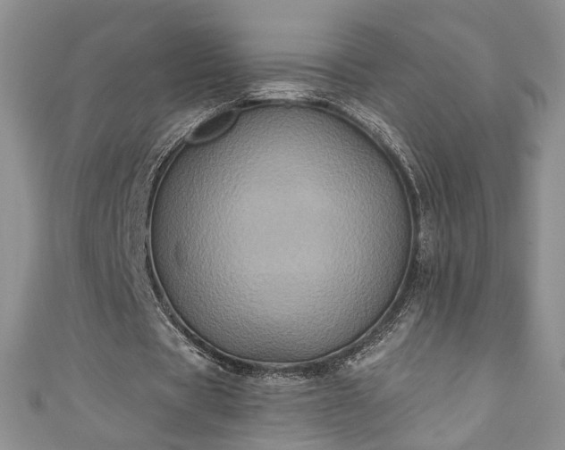 X0000111000529200906261501