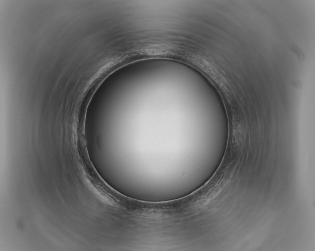 X0000111000530200906261501