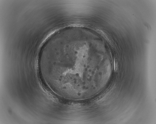 X0000111000531200906261501