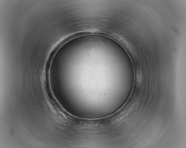 X0000111000532200906261501