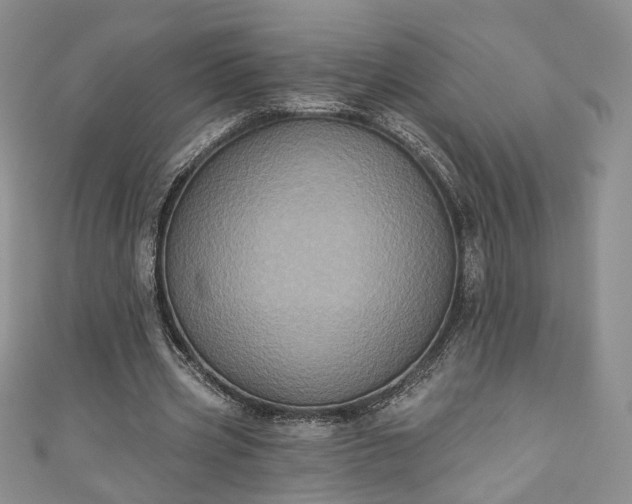 X0000111000533200906261501