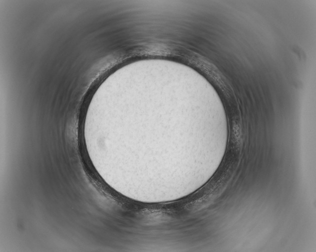 X0000111000534200906261501