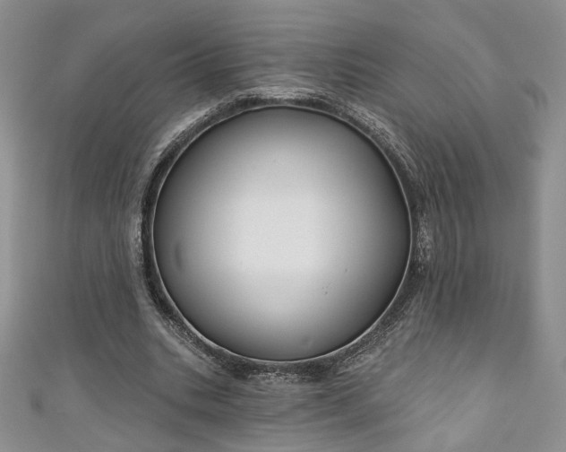 X0000111000535200906261501