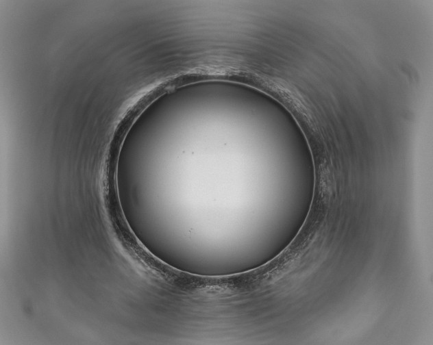 X0000111000536200906261501