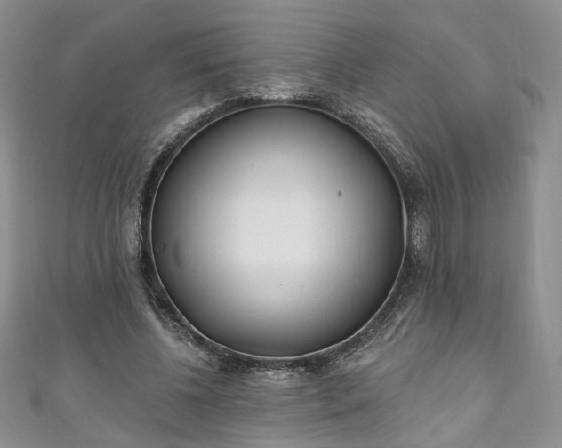 X0000111000540200906261501