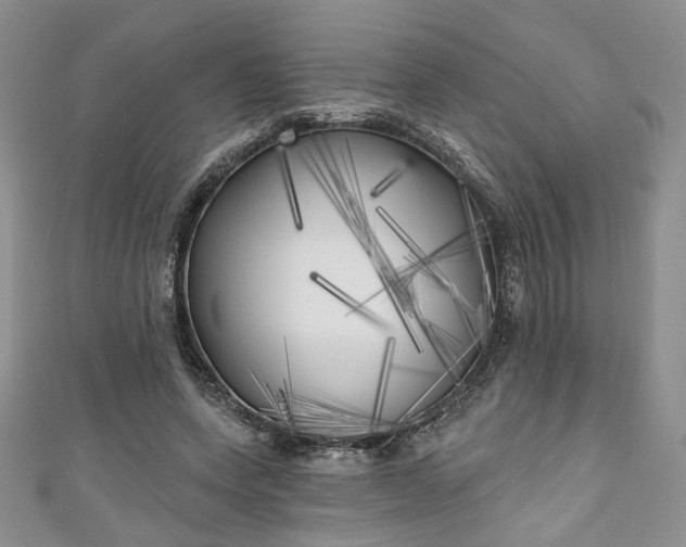 X0000111000543200906261501