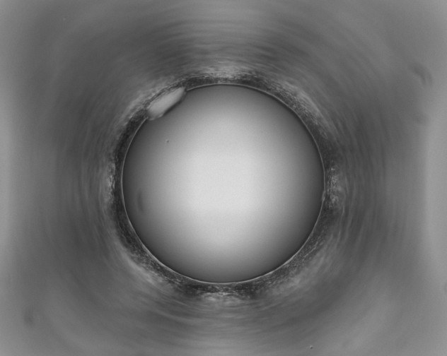 X0000111000544200906261501