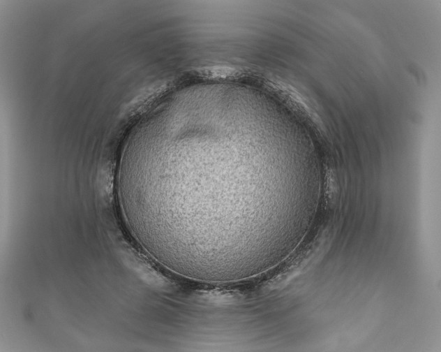 X0000111000545200906261501