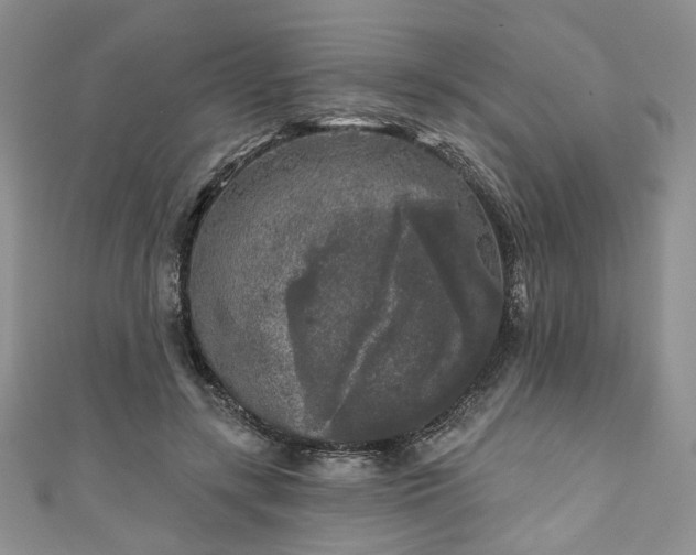 X0000111000547200906261501