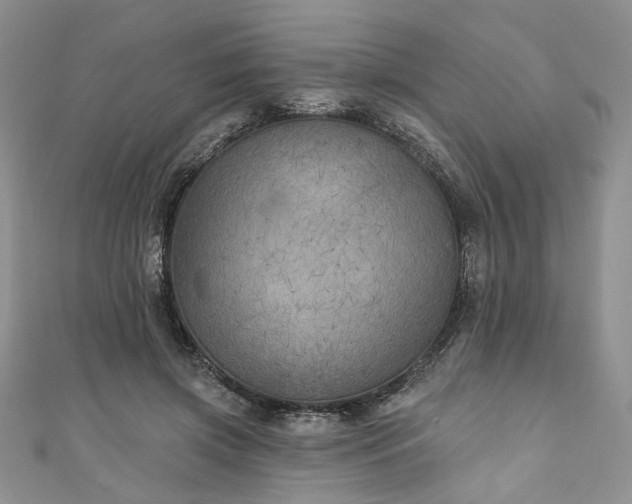 X0000111000549200906261501