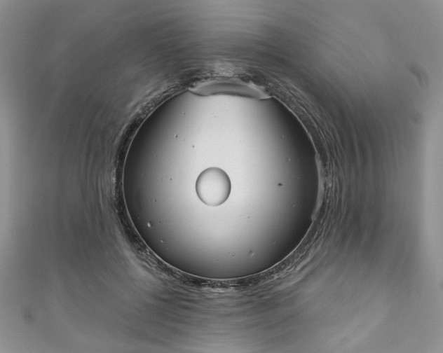 X0000111000552200906261501