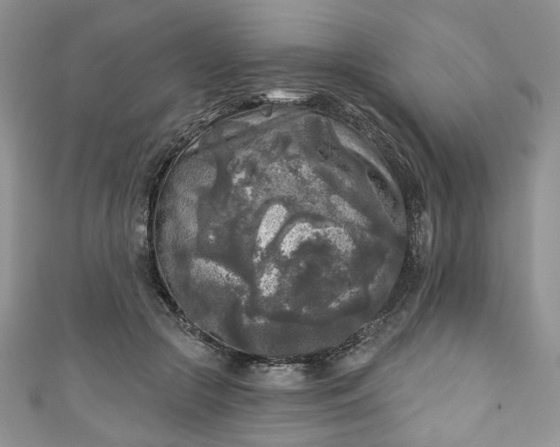 X0000111000553200906261501