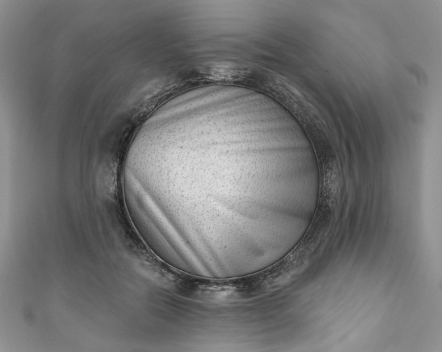 X0000111000554200906261501