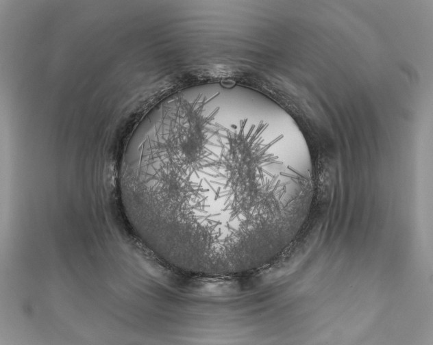 X0000111000555200906261501