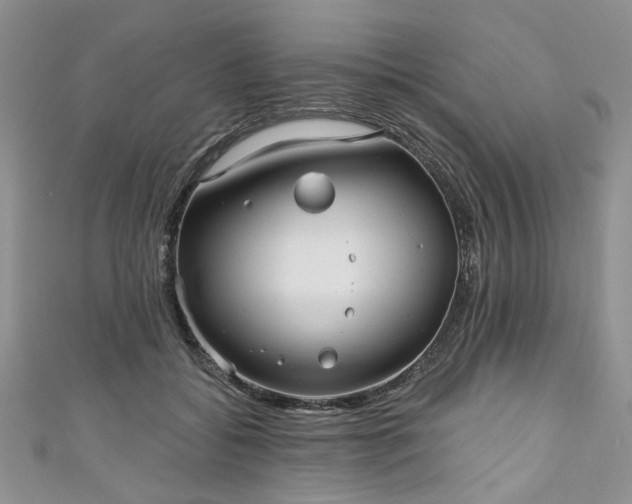 X0000111000556200906261501