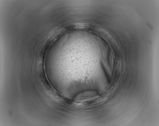 X0000111000557200906261501