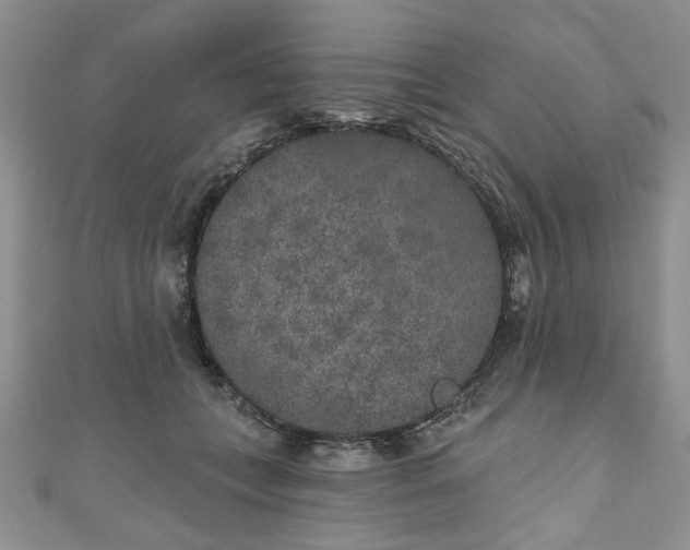 X0000111000559200906261501