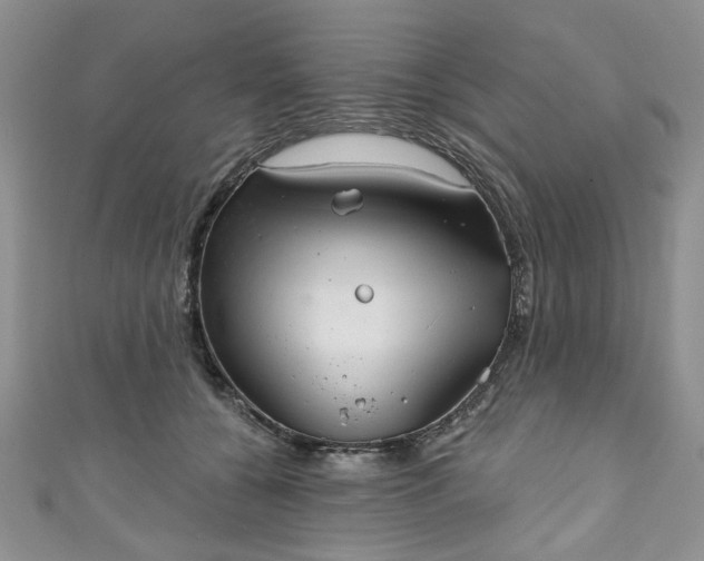 X0000111000560200906261501