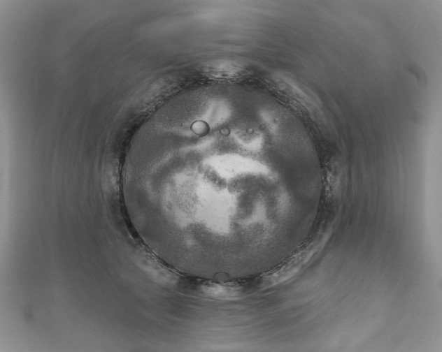 X0000111000561200906261501