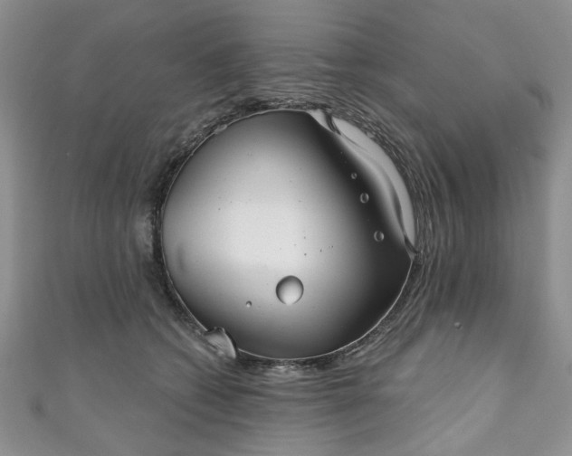 X0000111000562200906261501