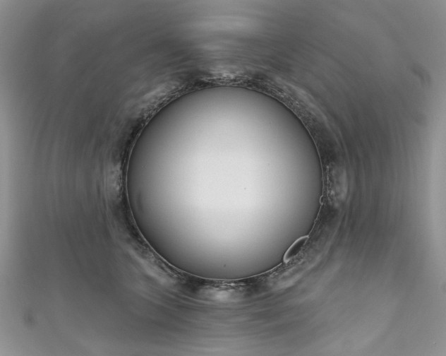 X0000111000563200906261501